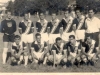 1951 – Em pé, Guilherme, Cascata, Henrique Gião, Cironei, Zezé Virga, Becão e o diretor-técnico Geléia; agachados, Dirceu, Hélio Abdal, Zé Cecílio, Ronaldo Noronha e Cezário.