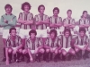 1978 – Em pé, Paulão, Buzúca, Leonardo, Everaldo, Ademir e Julinho; agachados, Varlei, Guará, Gersinho, Roberto e Élton.